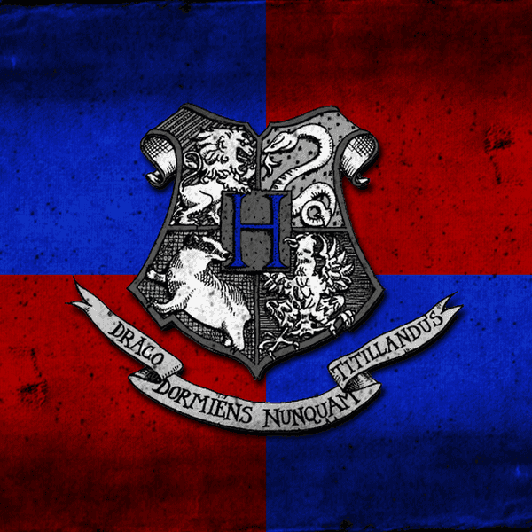 When You're A Ravenclaw And Best Friends With A Gryffindor