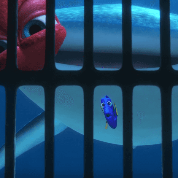 Life Lessons From Dory