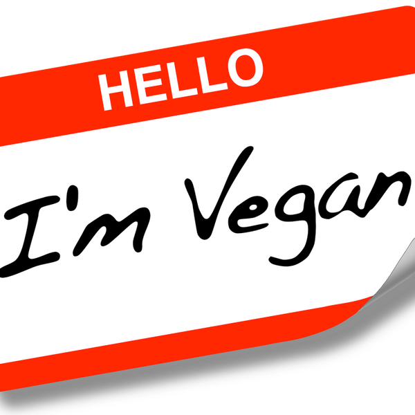 10 Delicious and Cheap Vegan Foods/Recipes