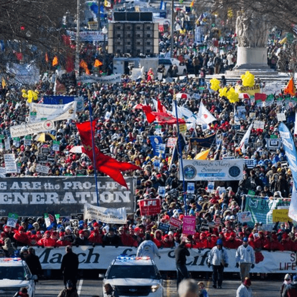 I Am The Pro-Life Generation