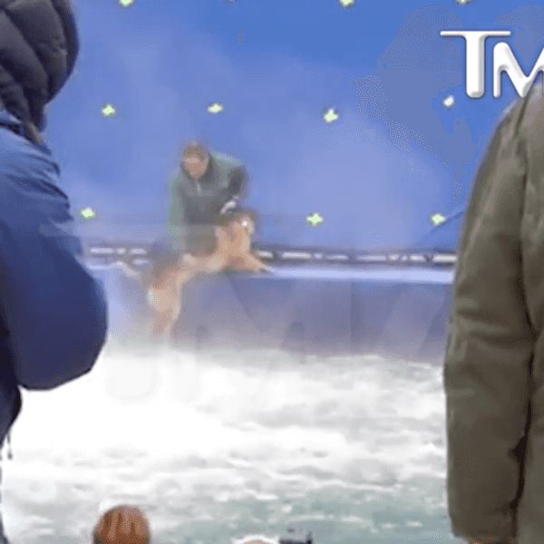 You're Boycotting "A Dog's Purpose," But You Probably Contribute To Animal Abuse Already