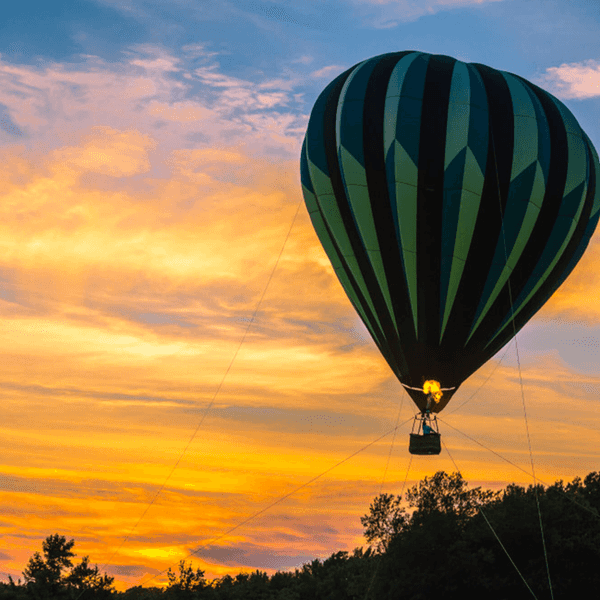 10 Things Going Through Our Heads After The Firefly Line Up Dropped