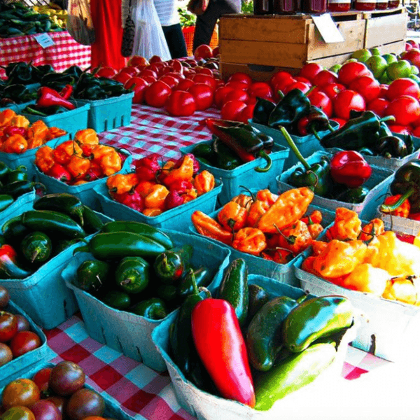 5 Ways To Eat Sustainably As a College Student