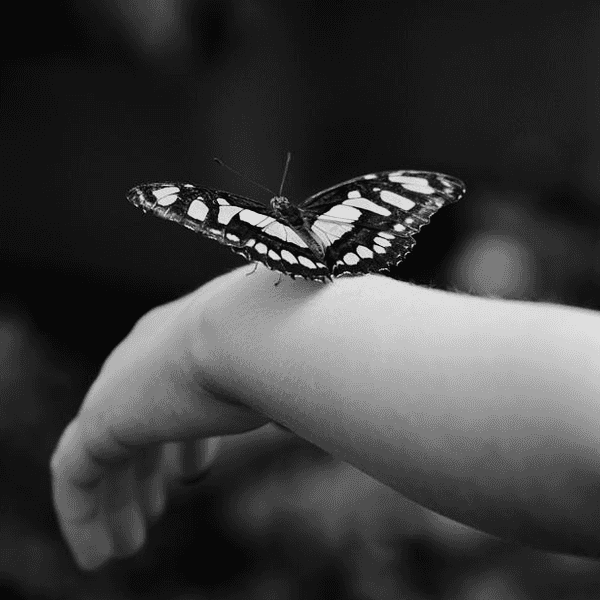 How To Forgive People And Let Go, In 4 Easy Steps