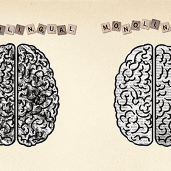 The Perks of Being Bilingual