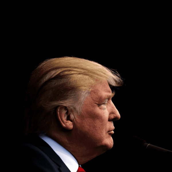Dear President-elect Trump