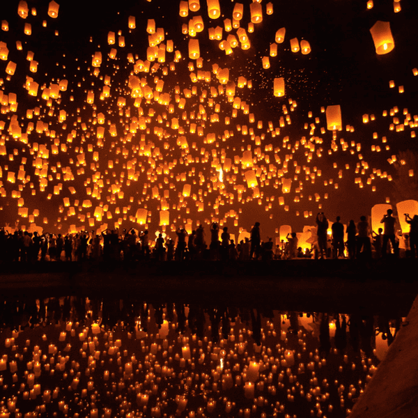 A Thank You Letter To 2016