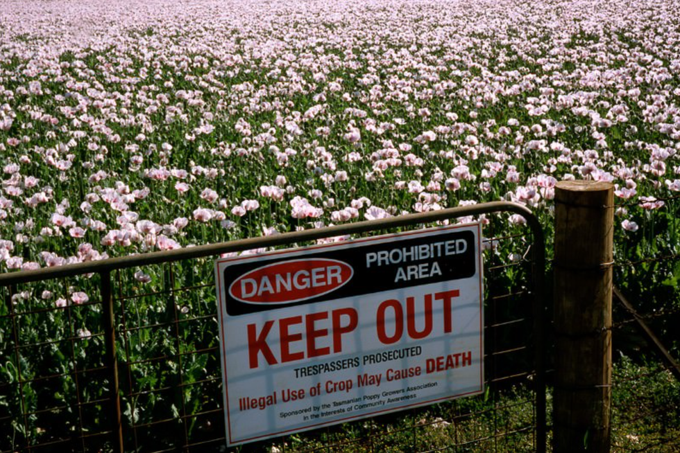 Heroin And Her Helpers