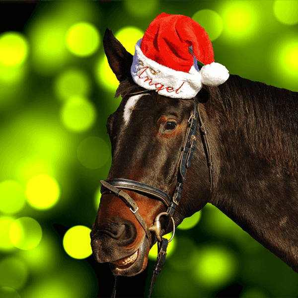 10 Reasons to Hate Christmas