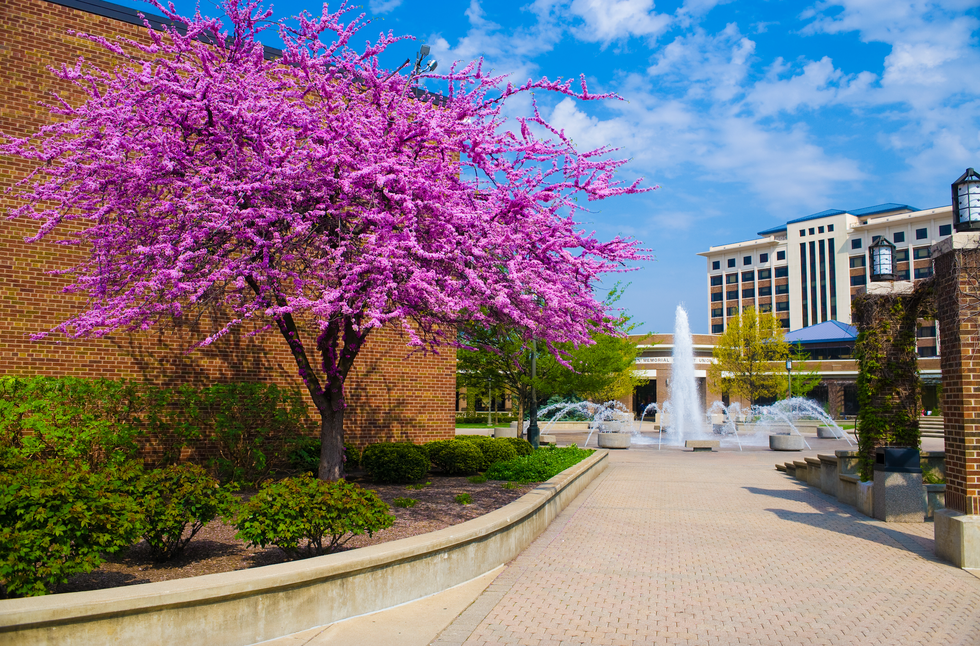 To My First Semester At College