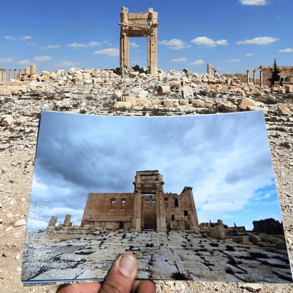 The Aleppo Catastrophe