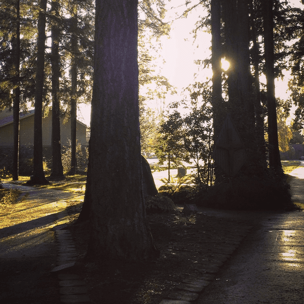 Goodbye To The Fall Semester And Hello To The Spring Semester