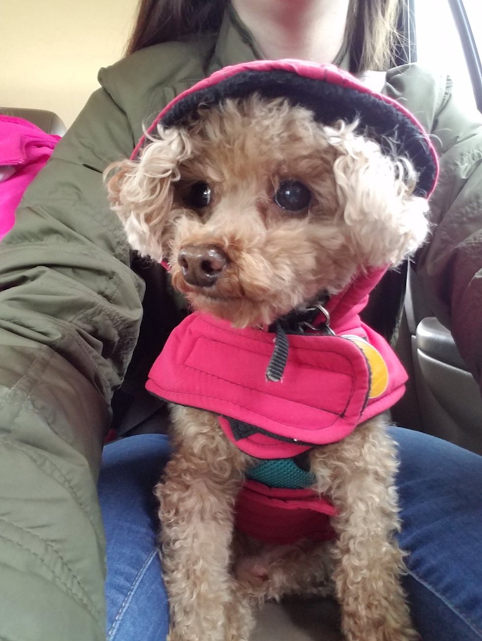 Dumped Before Christmas