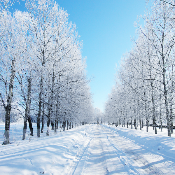 8 Reasons To Love Winter