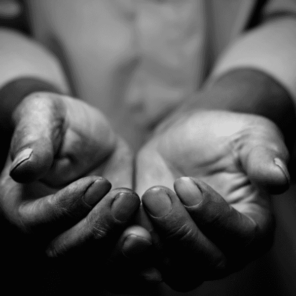 Best Charities to Donate to During the Holidays