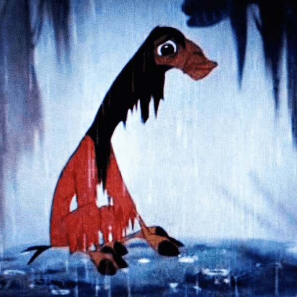 Transfer Student Problems As Told By The Characters From 'The Emperor's New Groove'