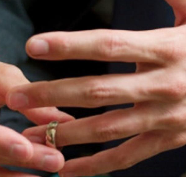 A Letter To My Fighting Parents