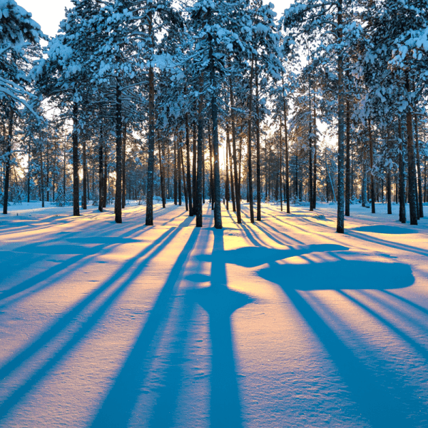 4 Reasons To Look Forward To Winter Break