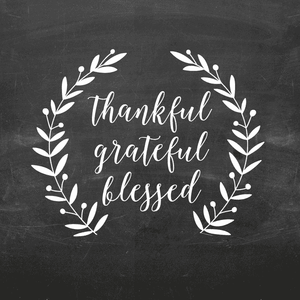 Let's Talk Turkey: Thanksgiving