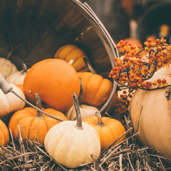 Thanksgiving Break: Expectations Vs. Reality