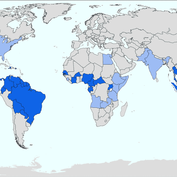 The Current State of the Zika Outbreak