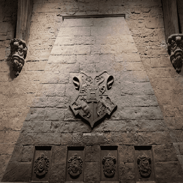 40 Celebrities Sorted Into Hogwarts Houses