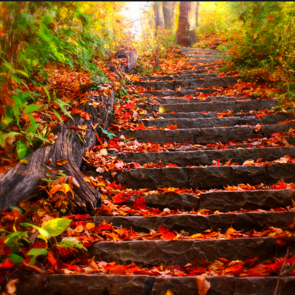 "What are you gonna do with that?"