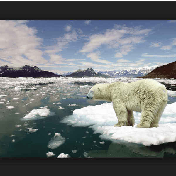 North Pole Reaches An Alarming 36 Degrees Warmer Than Usual
