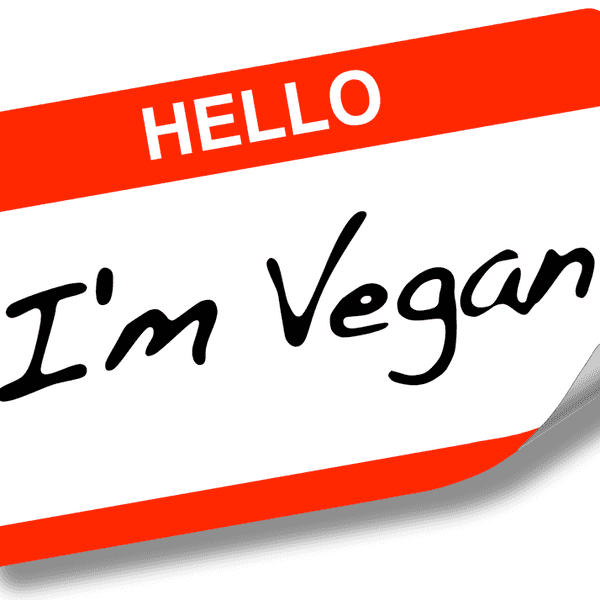 Frequently Asked Questions: Being A Vegan During The Holidays