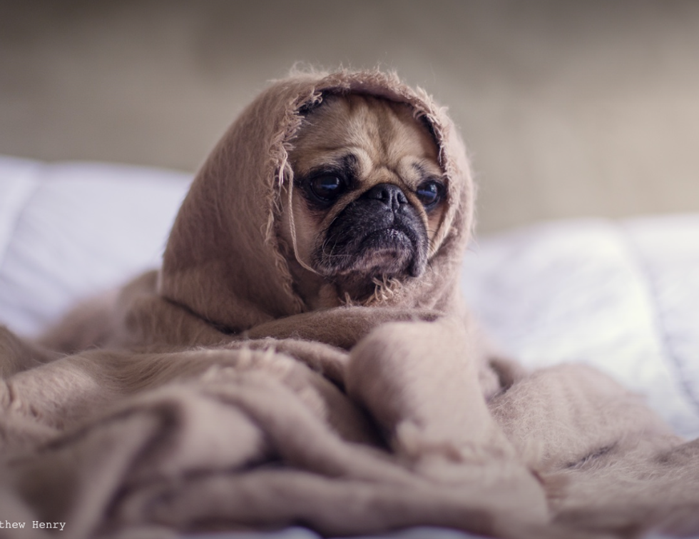 10 Things That Will Change Your Mood Right Now