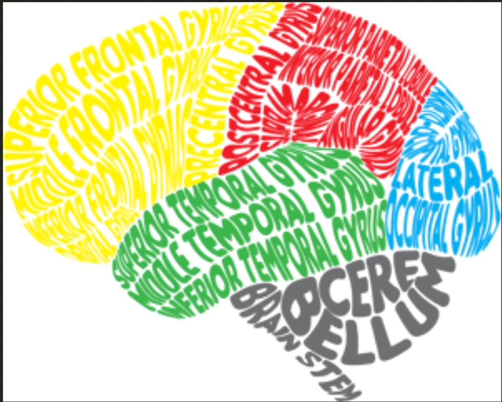 What Language Do You Think In?