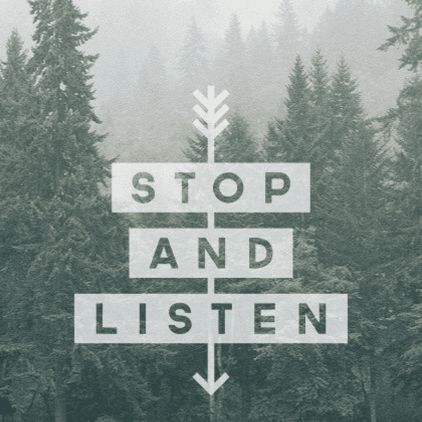 The Ears Are Not Being Used