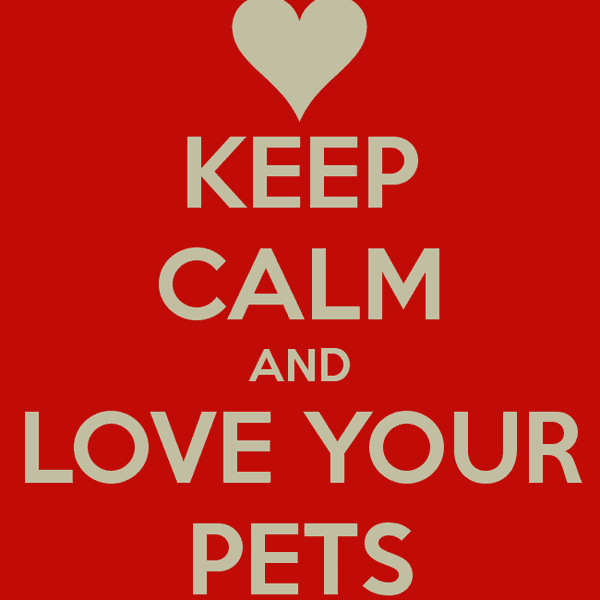 Finding Your Ideal First Pet