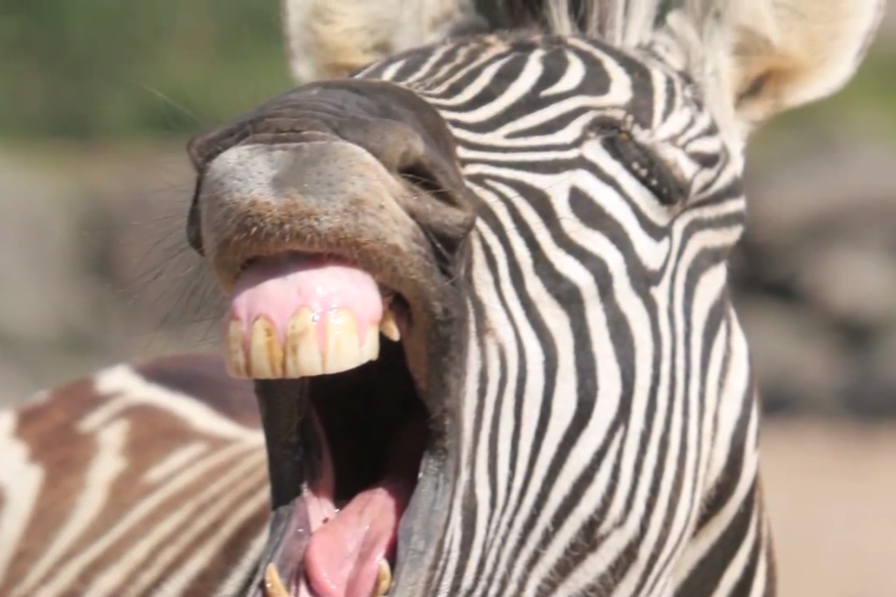 Mental Health: Here's Some Advice.