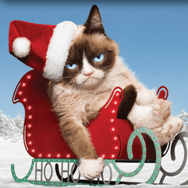Five Reasons Why It Is Too Early For Christmas