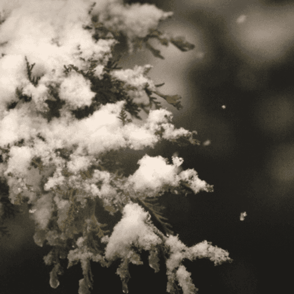Short Story: The Frost Boy