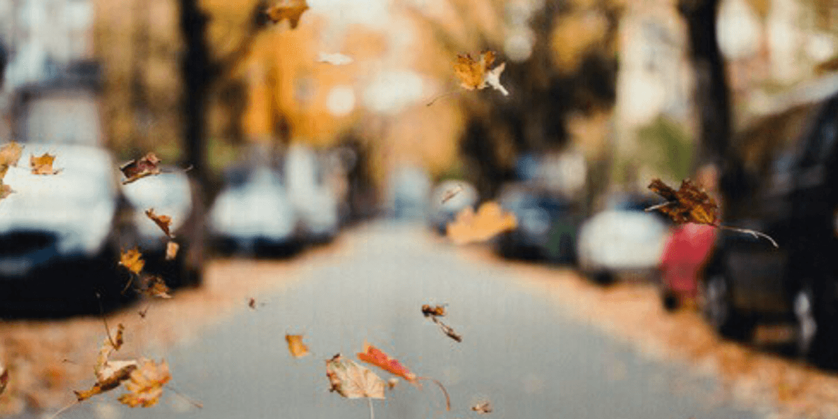Fallin Library Start Fallin' | The Odyssey Online