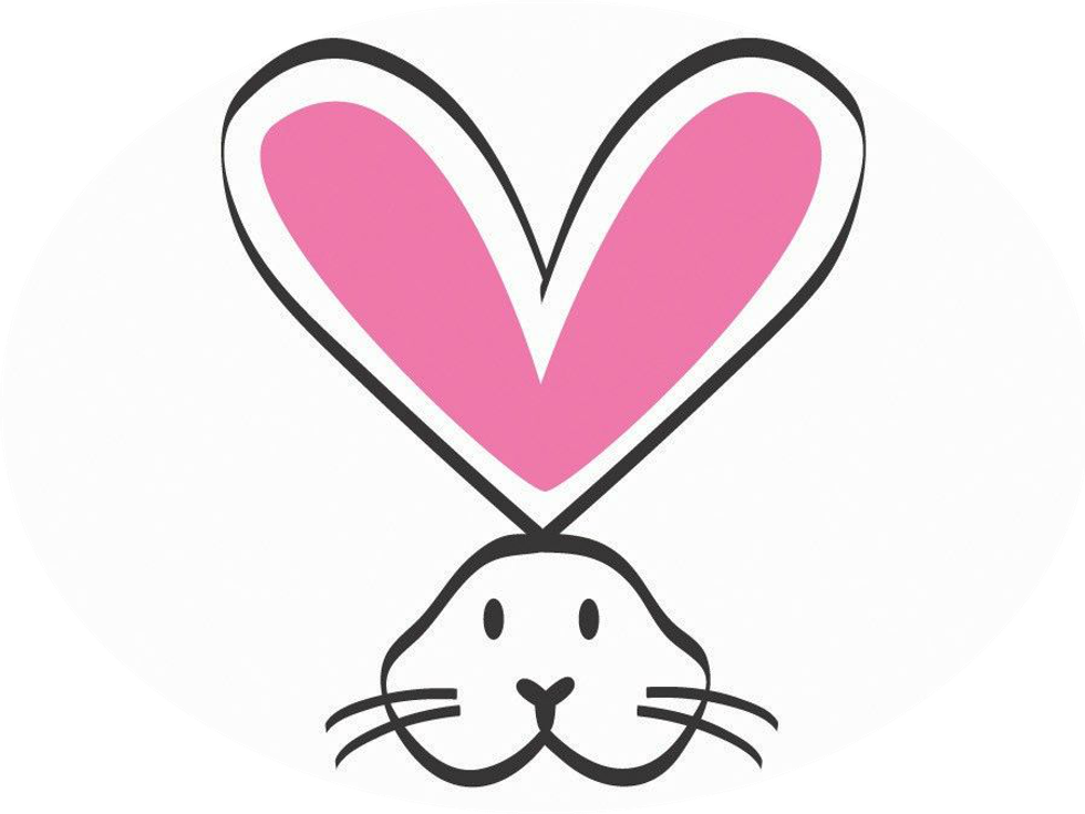 How to Help Animals Used in Laboratories