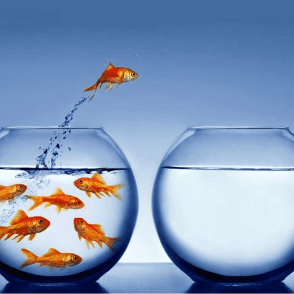Break Free From Your Comfort Zone