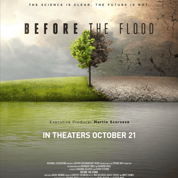 10 Things I Learned From The Must-Watch Documentary 'Before The Flood'