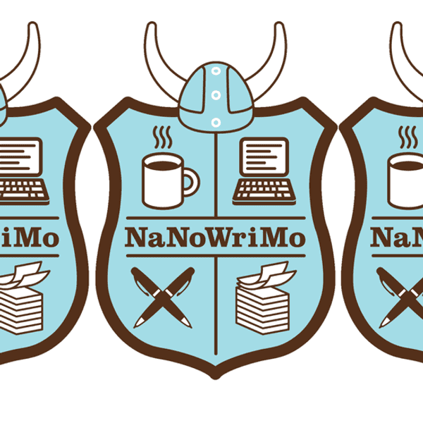What is NaNoWriMo