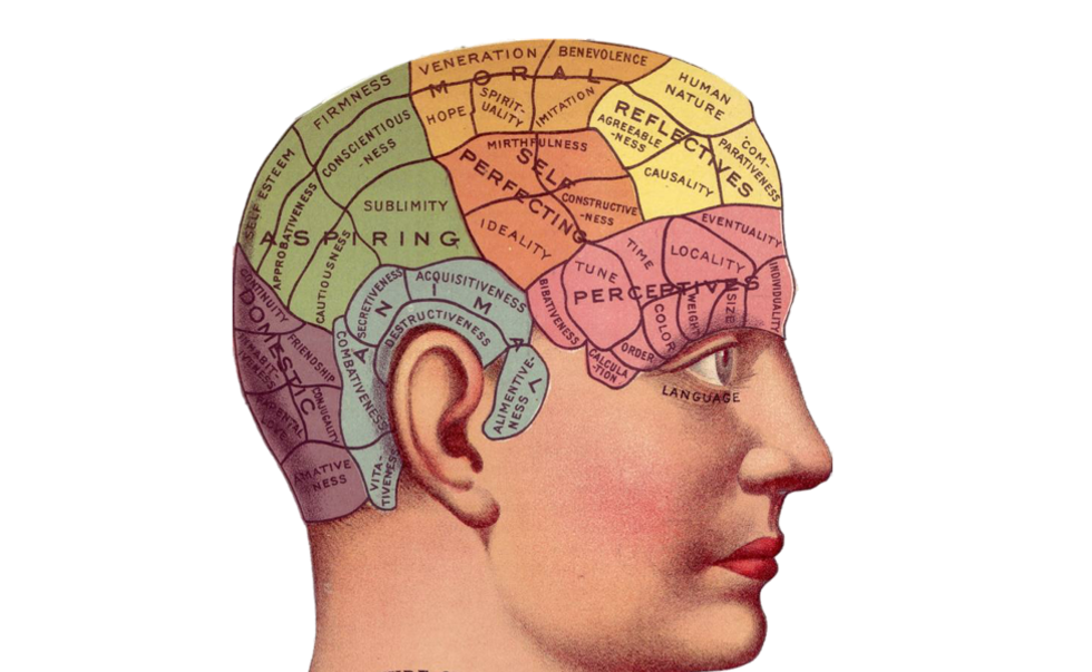 What Is Common Sense, And Do You Have It? An Extended Definition