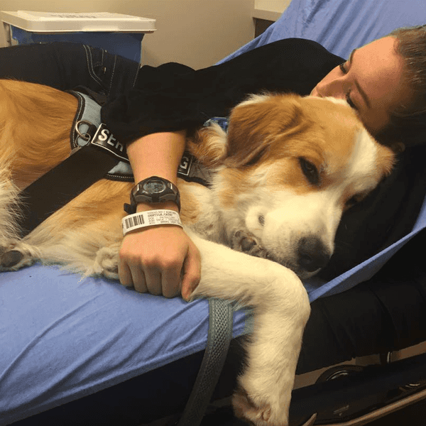 Ways A Service Dog Has Changed Handlers' Lives