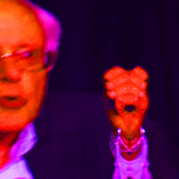 The Last Week: Hillary, Trump and North Dakota