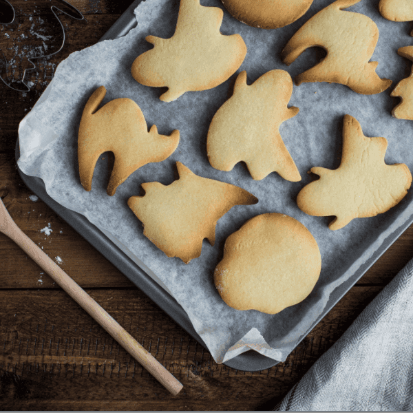 Fun Activities For Every Fall