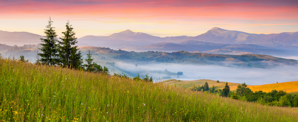 Open Letter To The God Who...