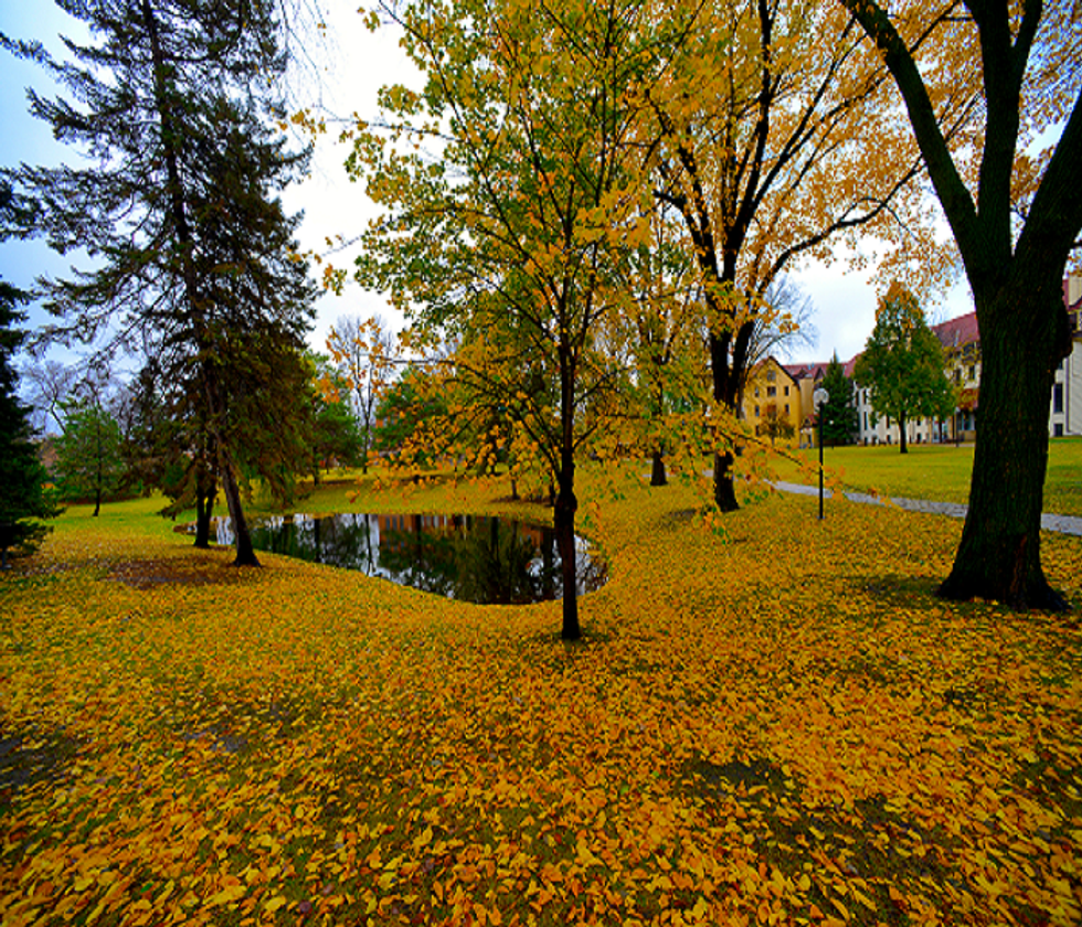 Fall In Minnesota: Here One Day And Gone The Next