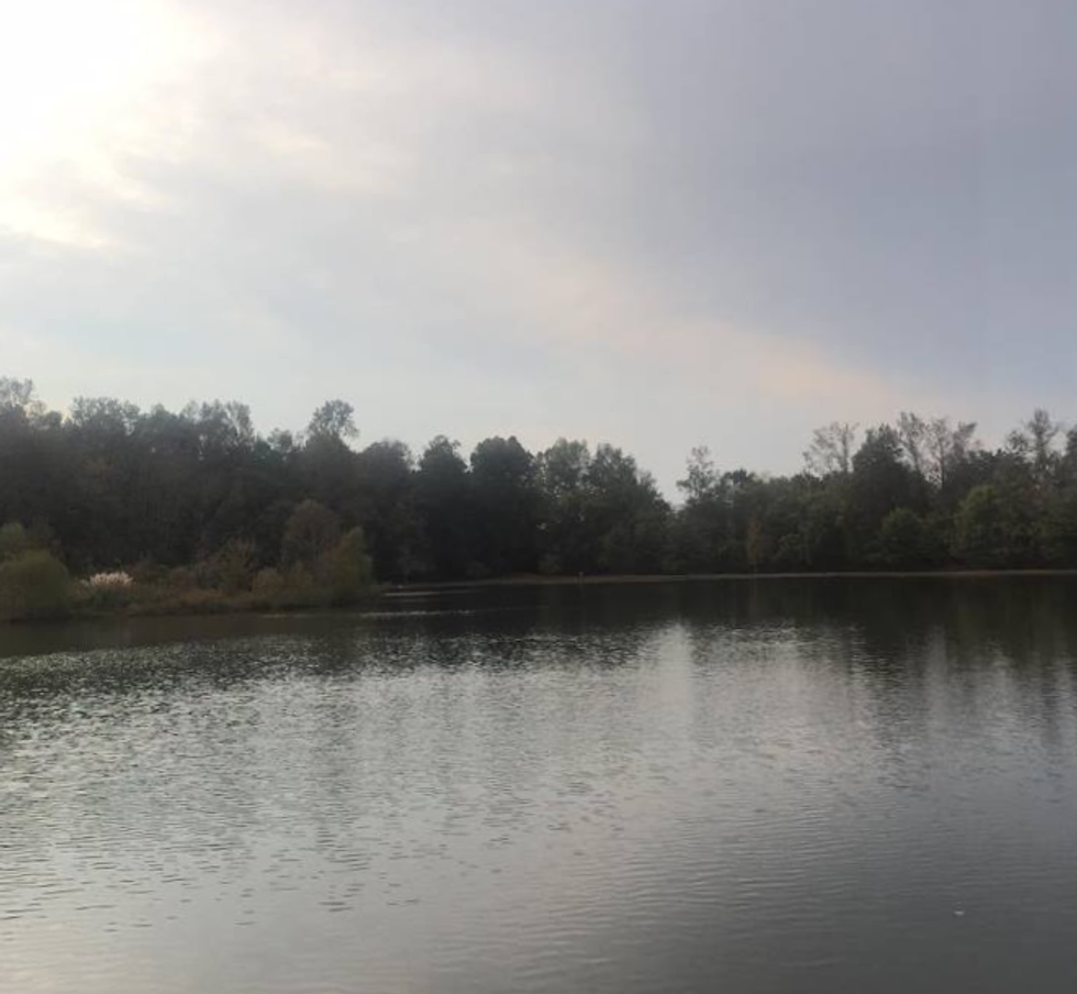 What I'm Thankful For