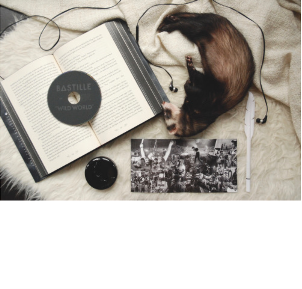 7 Songs You Have Never Heard Of