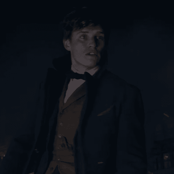 We're Getting Five New Harry Potter Movies